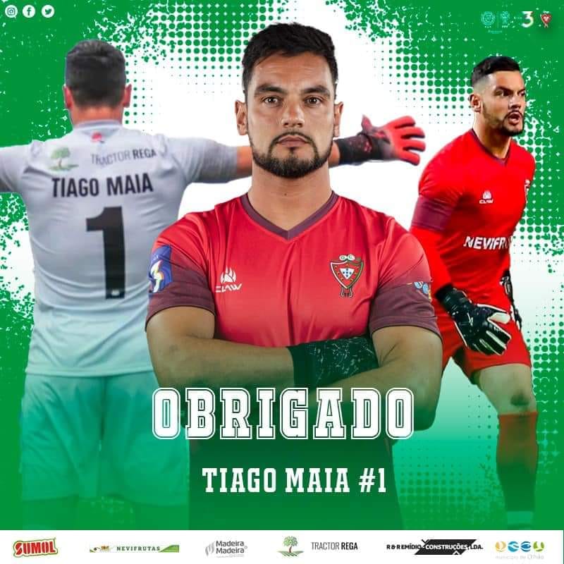 Adult Goalkeeping Gloves - J4K SPORTS