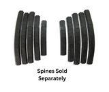 Finger Spines