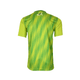 Nexus Goalkeeper Kit Set (Green) - J4K SPORTS