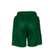 Supa Padded Goalkeeper Kit Set (Green) - J4K SPORTS